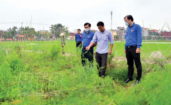 Thanh niên Thái Bình thi đua phát triển kinh tế