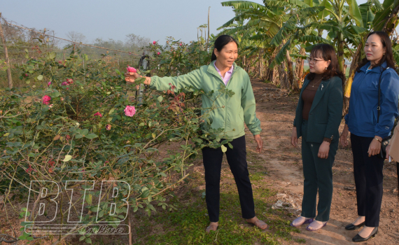 Phụ nữ thi đua phát triển kinh tế