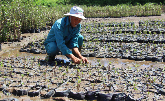 Ông Tưởng tuổi cao, gương sáng