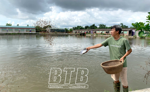 Thu nửa tỷ đồng mỗi năm từ trang trại tổng hợp