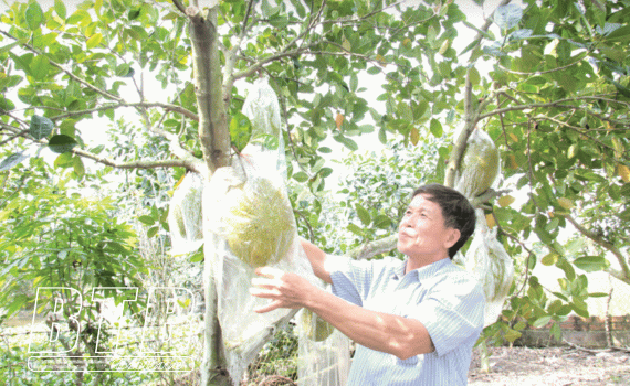 Sức sống mới trên quê hương anh hùng